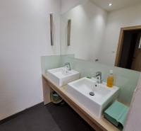 Double sink in the office bathroom with white walls and a large mirror.