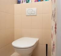 Toilet with cleaning products in a 2-room apartment, beige tiles.