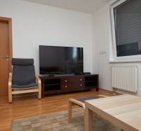 Living room in a two-room apartment with a television, chair, and wooden decor flooring.