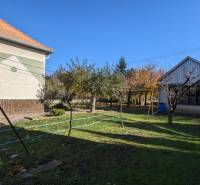 The garden of a family house in Vráble with a lawn, trees, and two buildings.