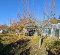 A garden in a family house in Vráble with fruit trees and greenhouses in the autumn season.