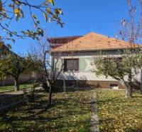 A family house in Vráble with a landscaped garden, bordered by fruit trees in the autumn season.