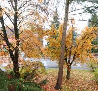Autumn scenery with trees on Štefánikova Street in Púchov, visible from a 3-room apartment.