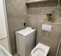 A bathroom in a studio apartment with a washing machine and a toilet, complemented by a storage shelf.