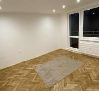 A room in a one-bedroom apartment with a wood-patterned floor and a large window.