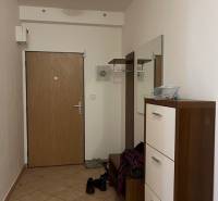 Entrance hallway in a 3-room apartment with a shoe cabinet, coat hooks, and a mirror. Floor made of ceramic tiles.