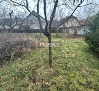 A garden with fruit trees, shrubs, and a lawn, ideal for living and leisure.