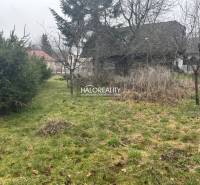 The image shows a large plot of land with grass, trees, and an old shed.