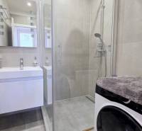 A bathroom in a two-room apartment with a sink, shower, and washing machine.