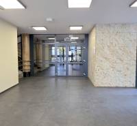 Entrance hall with glass doors and stone walls, Bezručova, Bratislava - Staré Mesto.