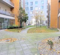 The courtyard of the apartment complex on Bezručova Street in Bratislava - Old Town with walkways and trees.