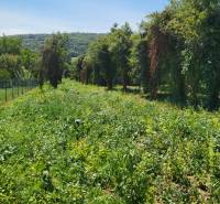 Sale Land – for living, Land – for living, Neusiedl am See, Austria