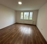 Two-room apartment with wood-patterned flooring, bright room with a wide window.