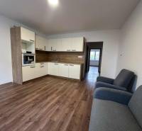 Studio apartment with a kitchenette, wooden decor flooring, and a pair of armchairs.