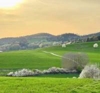 Spring landscape near Poniky, agricultural and forest lands with blooming trees and green meadows.
