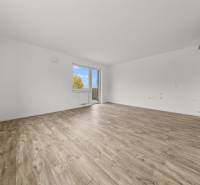 Sale One bedroom apartment, One bedroom apartment, Limbašská cesta, Pe