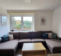 Living room in a 3-room apartment with a comfortable sofa and a view from the window.