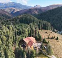 A view of a mountainous landscape near Donovaly, with a building hidden among the coniferous forests.
