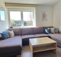 Living room in a three-room apartment with a comfortable sofa and a view of the forest.