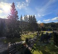 Sunny day with a view of greenery and coniferous trees in Donovaly.