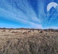 Agricultural and forest land in Radvaň nad Dunajom with open countryside and blue sky.