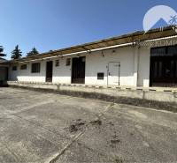 Commercial premises in Patince with a concrete area and a white facade.