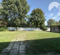 Commercial premises in Patince with a lawn and trees, groceries close to the left side.