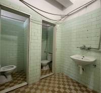 Bathroom in commercial premises with tiles and a sink.