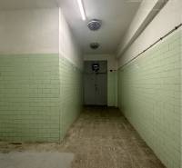 A narrow interior of a commercial space with green tiles on the wall and a concrete floor.