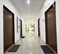 A corridor of offices with brown doors and shiny white floor.
