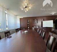 Offices with wood-patterned flooring, a long table, chairs, and a ceiling light.