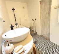 A bathroom in a 3-room apartment with original black and white mosaic and a freestanding sink.