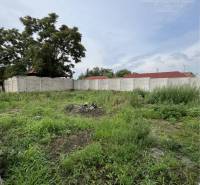 Plots - housing in Iža with grassy vegetation and fenced area.