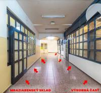 A corridor with doors leading to the freezing storage and production area.