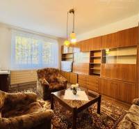 Living room in a two-room apartment with carpet decor and comfortable seating.