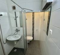 Bathroom with a shower and dark flooring in a studio apartment, white tiles.