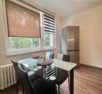 Dining area with a glass table and a refrigerator, 1-room apartment, floor with wood decor.