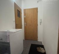 Entrance hallway in a one-room apartment with a washing machine and shoes on dark tiles.