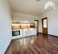Interior of a 1-room apartment with a kitchen and a wooden decor floor.