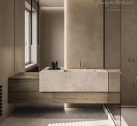 Bathroom with stylish sink, lighting, and built-in cabinets. Interior and 2-room apartment.