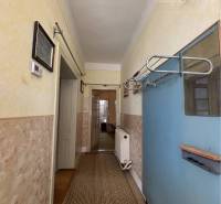 A hallway in a family house with textured walls and a carpet runner.