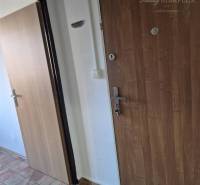 Entrance hallway in a one-room apartment with a wooden decor floor and ceramic tiles.