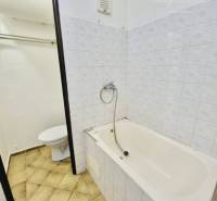 Bathroom in a studio apartment with a bathtub and toilet, tiles in brown shades.