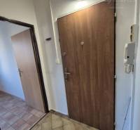 A hallway with doors and a telephone, a floor with a wooden decor, a studio apartment.