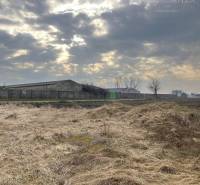 Land condition in Zlatná na Ostrove, in front of the family house, with a cloudy sky.