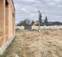 A family house in Zlatná na Ostrove with a structure by the wall and dry grass on the property.