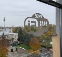 View from commercial premises on Milan Rastislav Štefánik Square in Komárno, autumn trees.