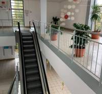 Interior with escalator, plants, and modern decoration in commercial spaces.