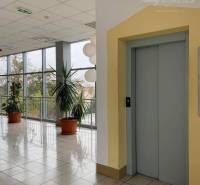 Commercial spaces with an elevator and potted plants, large glass windows, bright interior.