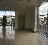 Interior of a commercial space with large windows and ceramic tiles.